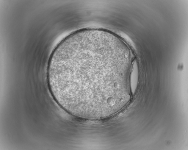X0000090431183200708101958