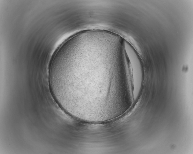 X0000090431184200708101958