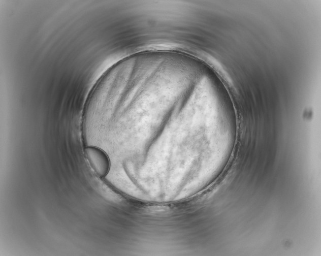X0000090431186200708101958
