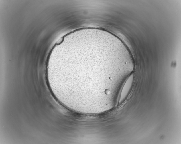 X0000090431187200708101958