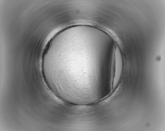 X0000090431188200708101958