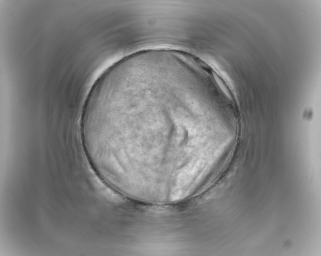 X0000090431189200708101958