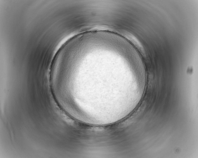 X0000090431190200708101958