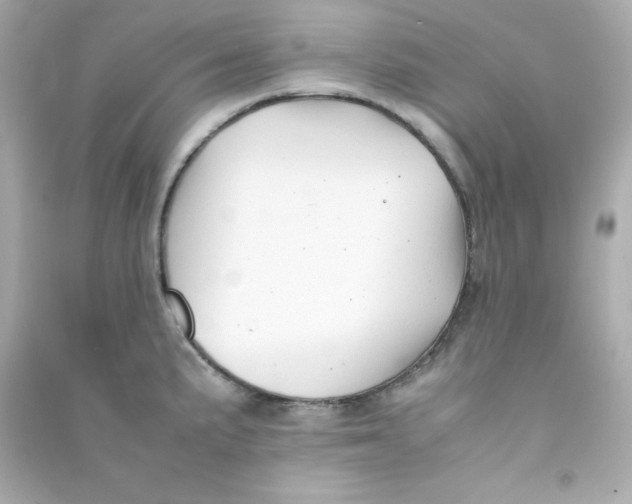 X0000090431191200708101958