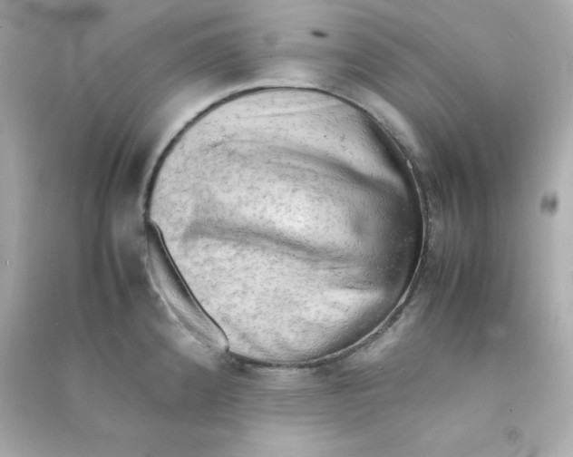 X0000090431192200708101958