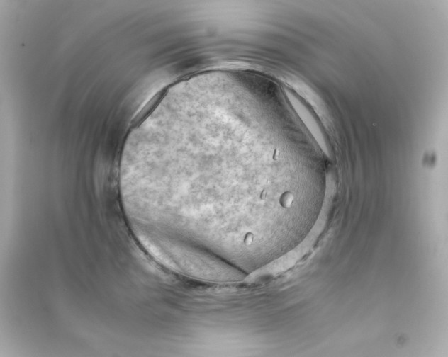 X0000090431193200708101958