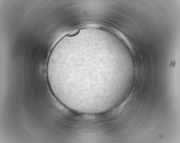 X0000090431194200708101958