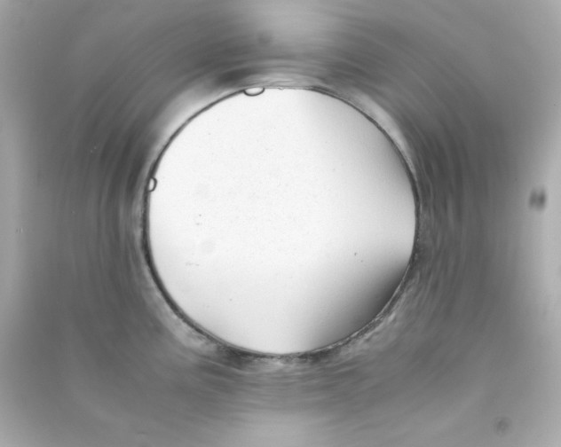 X0000090431195200708101958