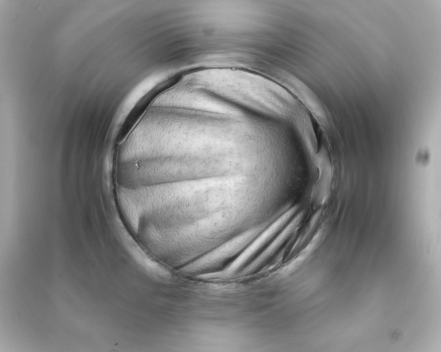 X0000090431196200708101958