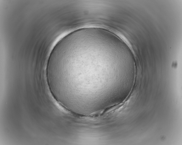 X0000090431197200708101958