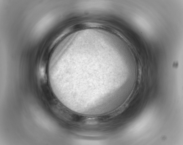 X0000090431198200708101958