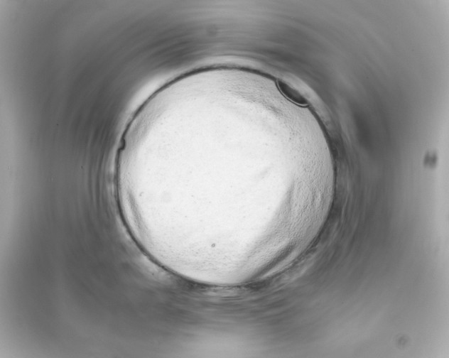 X0000090431199200708101958