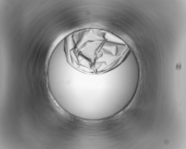 X0000090431200200708101958