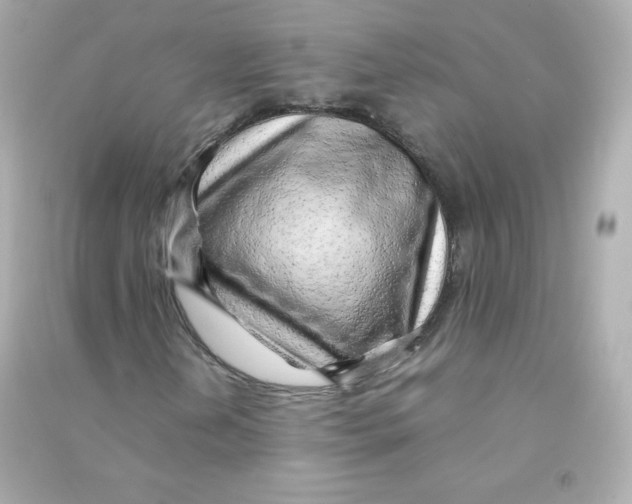 X0000090431202200708101957