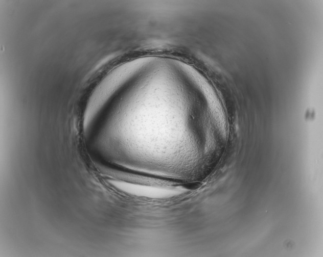 X0000090431206200708101957