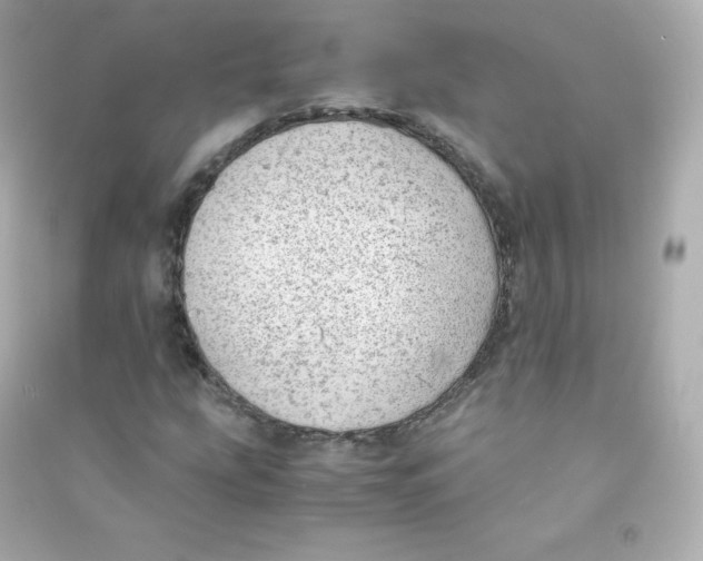 X0000090431207200708101957