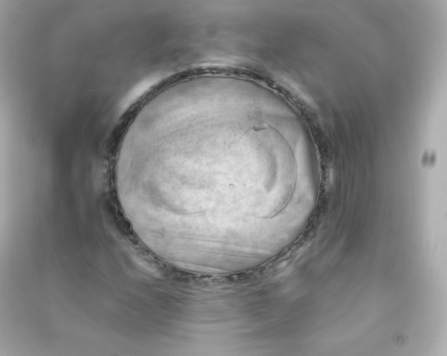 X0000090431208200708101957