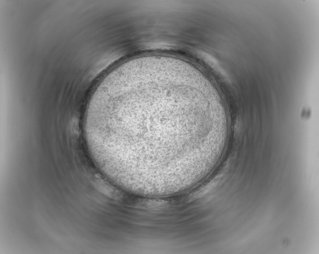X0000090431209200708101957