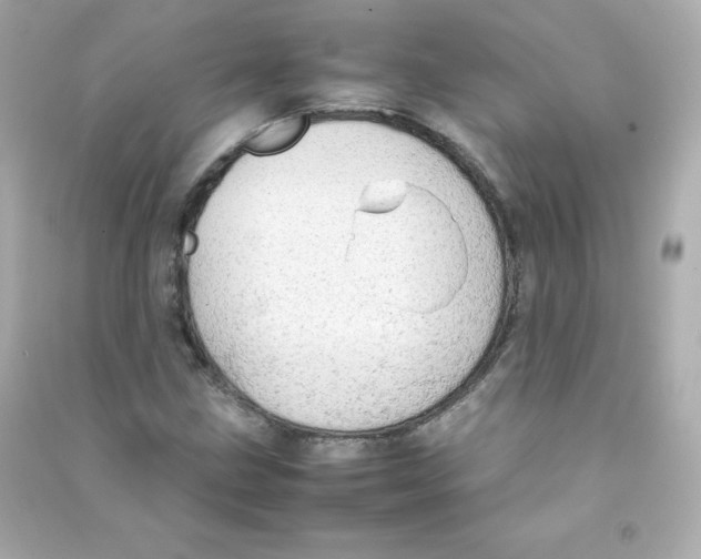 X0000090431211200708101957