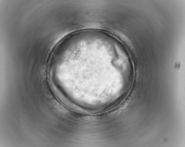 X0000090431212200708101957