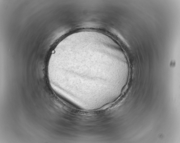 X0000090431213200708101957