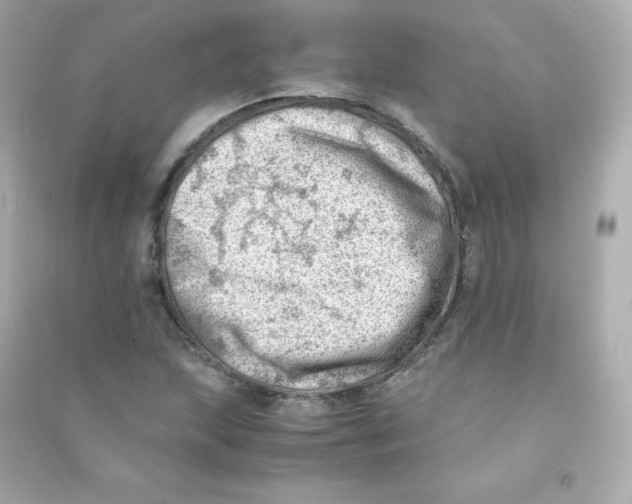 X0000090431215200708101957