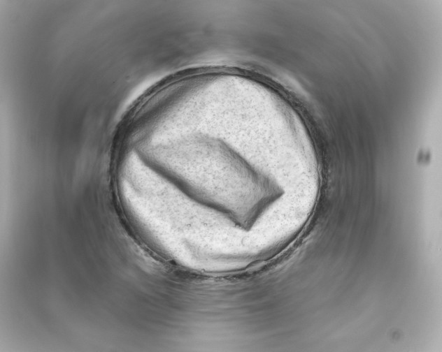 X0000090431216200708101957