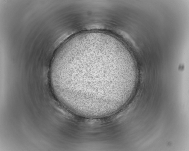 X0000090431217200708101957