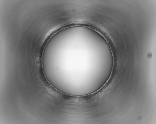 X0000090431218200708101957