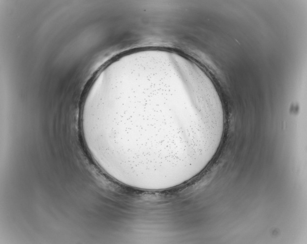 X0000090431220200708101957