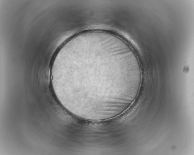 X0000090431221200708101957