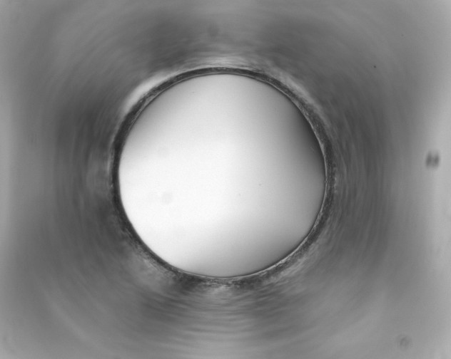 X0000090431222200708101958