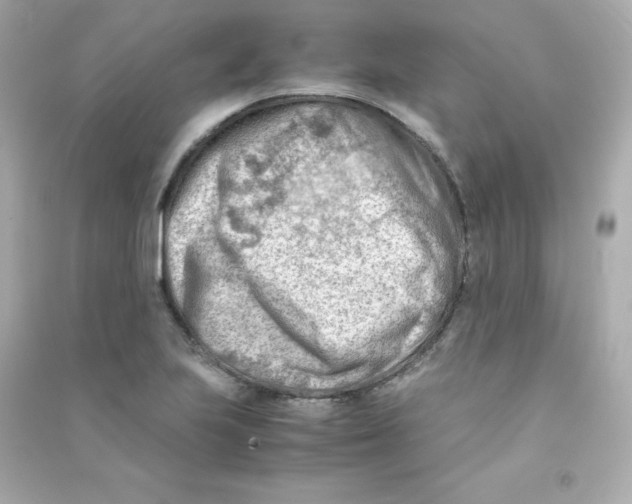 X0000090431223200708101958