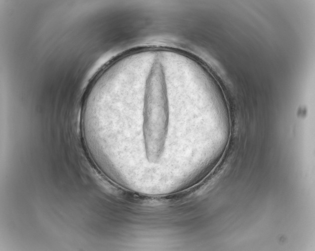 X0000090431224200708101958