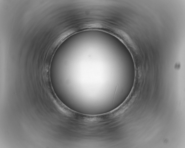 X0000090431225200708101958