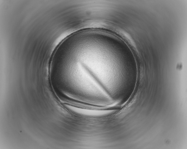 X0000090431226200708101958