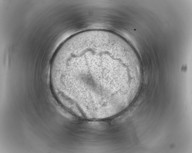 X0000090431227200708101958