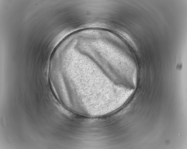 X0000090431228200708101958