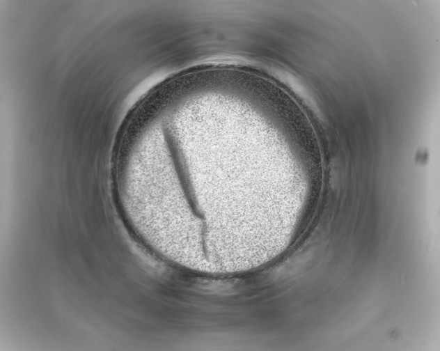 X0000090431229200708101958