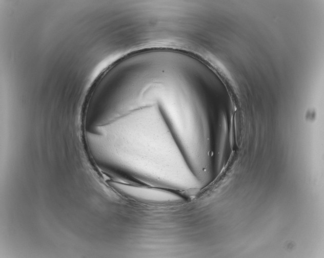 X0000090431230200708101958