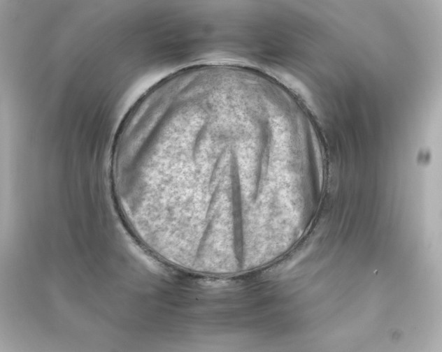 X0000090431231200708101958