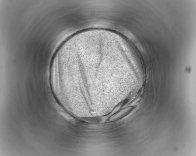 X0000090431232200708101958