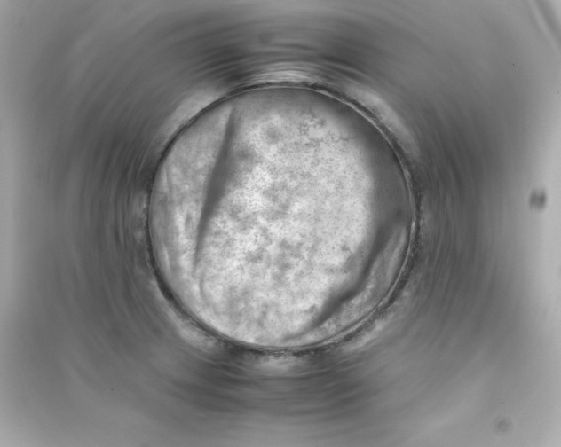 X0000090431233200708101958
