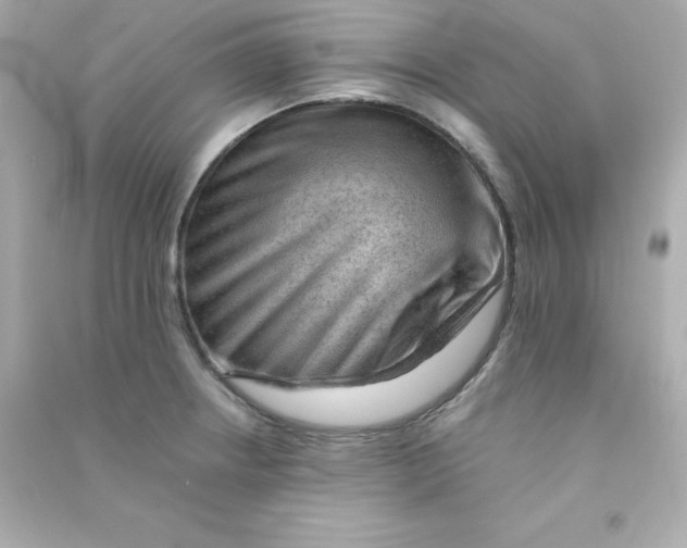 X0000090431234200708101958
