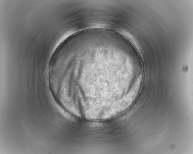 X0000090431235200708101958
