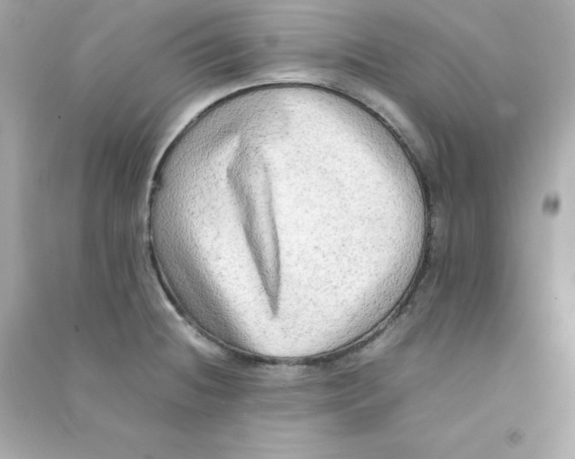 X0000090431236200708101958