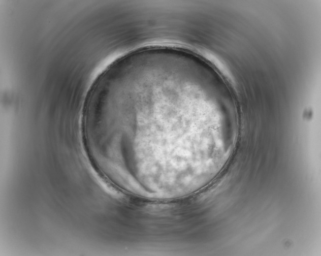 X0000090431237200708101958