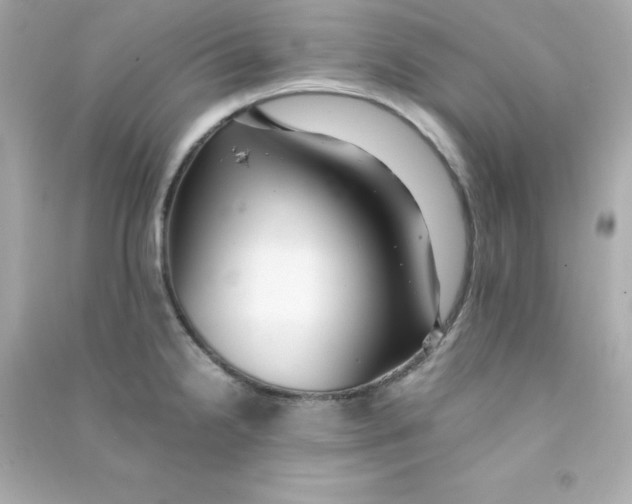 X0000090431238200708101958
