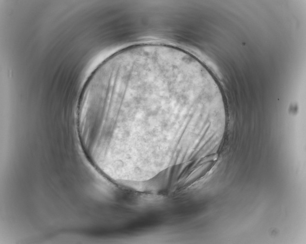 X0000090431239200708101958