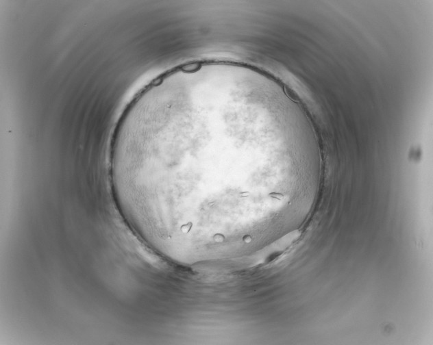 X0000090431240200708101958